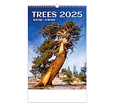Nástěnný kalendář 2025 Kalendář Stromy
